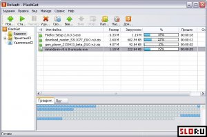 FlashGet 1.96