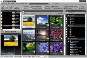 ACDSee Pro 2.0.238  