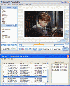 SolveigMM Video Splitter 1.2.705